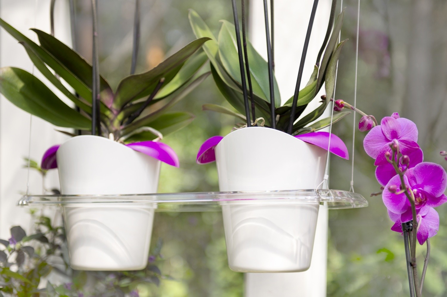 Орхидеи в непрозрачных горшках можно ли. Горшок-кашпо для орхидей ILO. Вазон для орхидей. Фитильный полив орхидей.